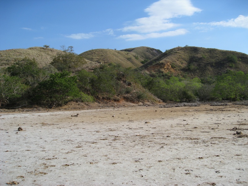 vertrocknete Landschaft